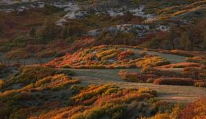 Castle Pines, CO